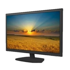22 "LED Monitor